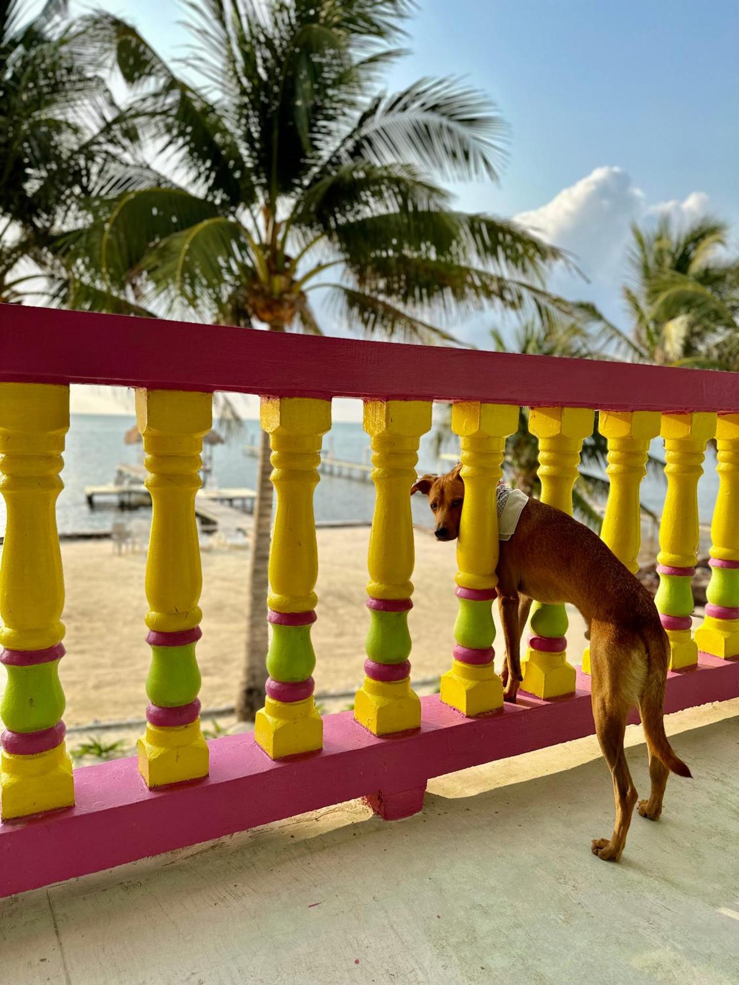 Barefoot Beach Belize Caye Caulker Zewnętrze zdjęcie