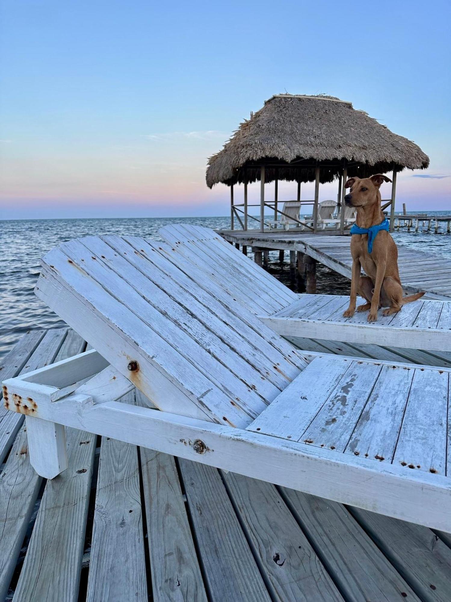 Barefoot Beach Belize Caye Caulker Zewnętrze zdjęcie